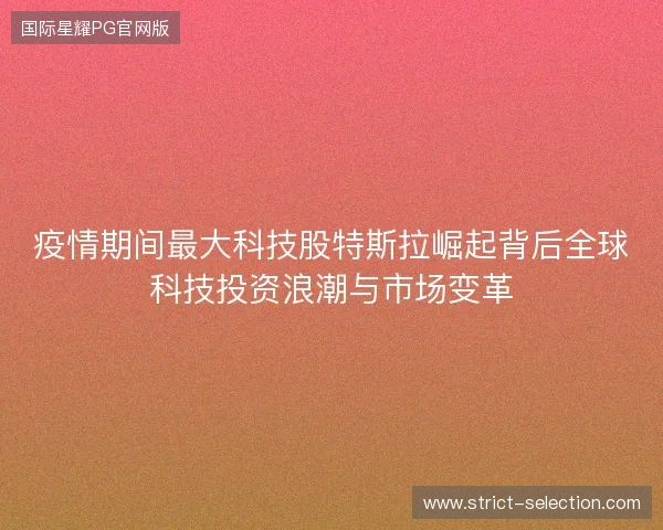 疫情期间最大科技股特斯拉崛起背后全球科技投资浪潮与市场变革 疫情期间最大科技股特斯拉崛起背后全球科技投资浪潮与市场变革